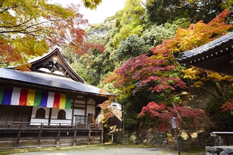 神峰山寺|神峯山寺